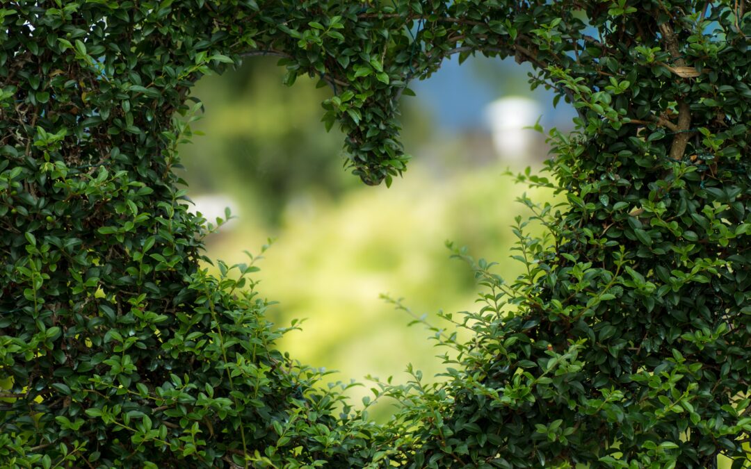 Anahata: verde, il colore dell’amore